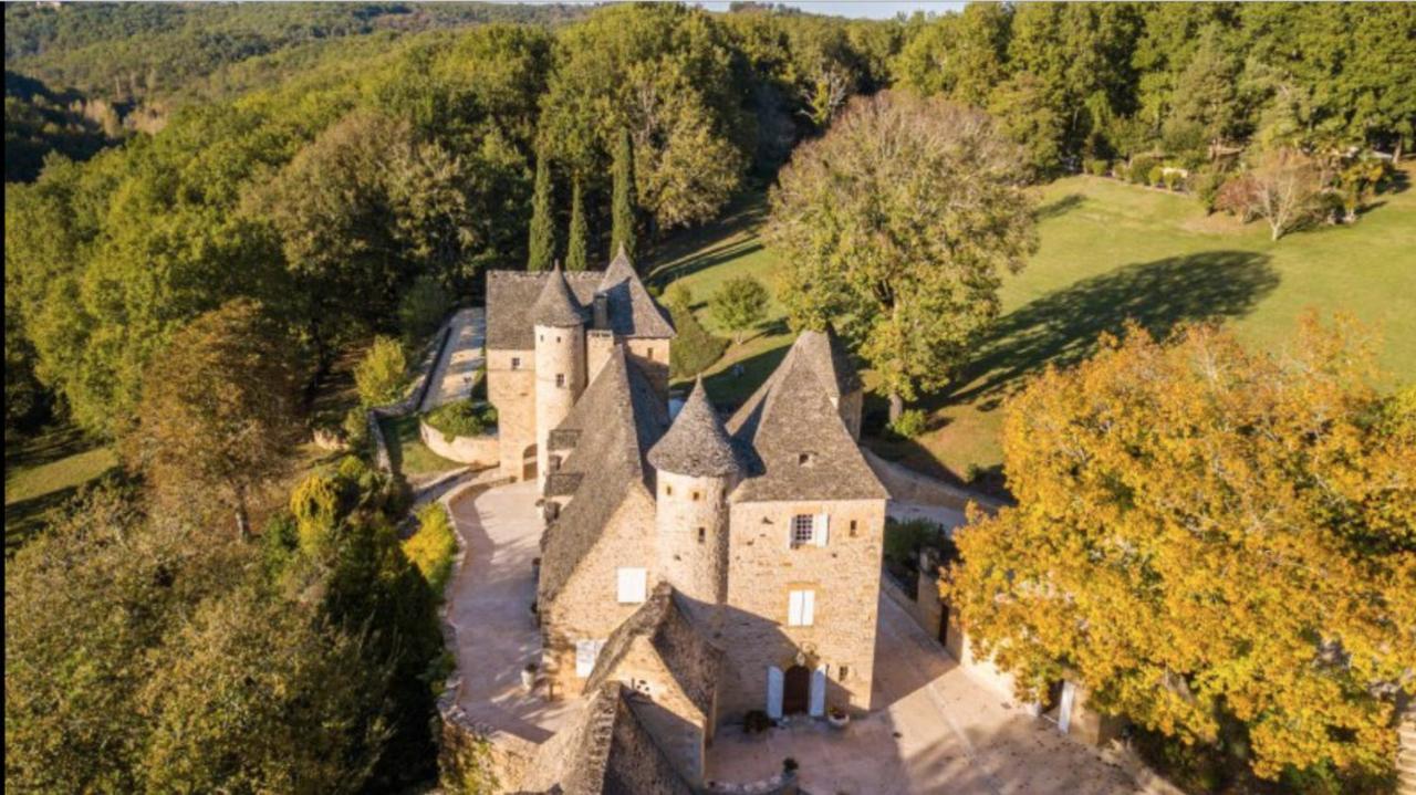 Chateau La Carriere سان-سيبريان المظهر الخارجي الصورة